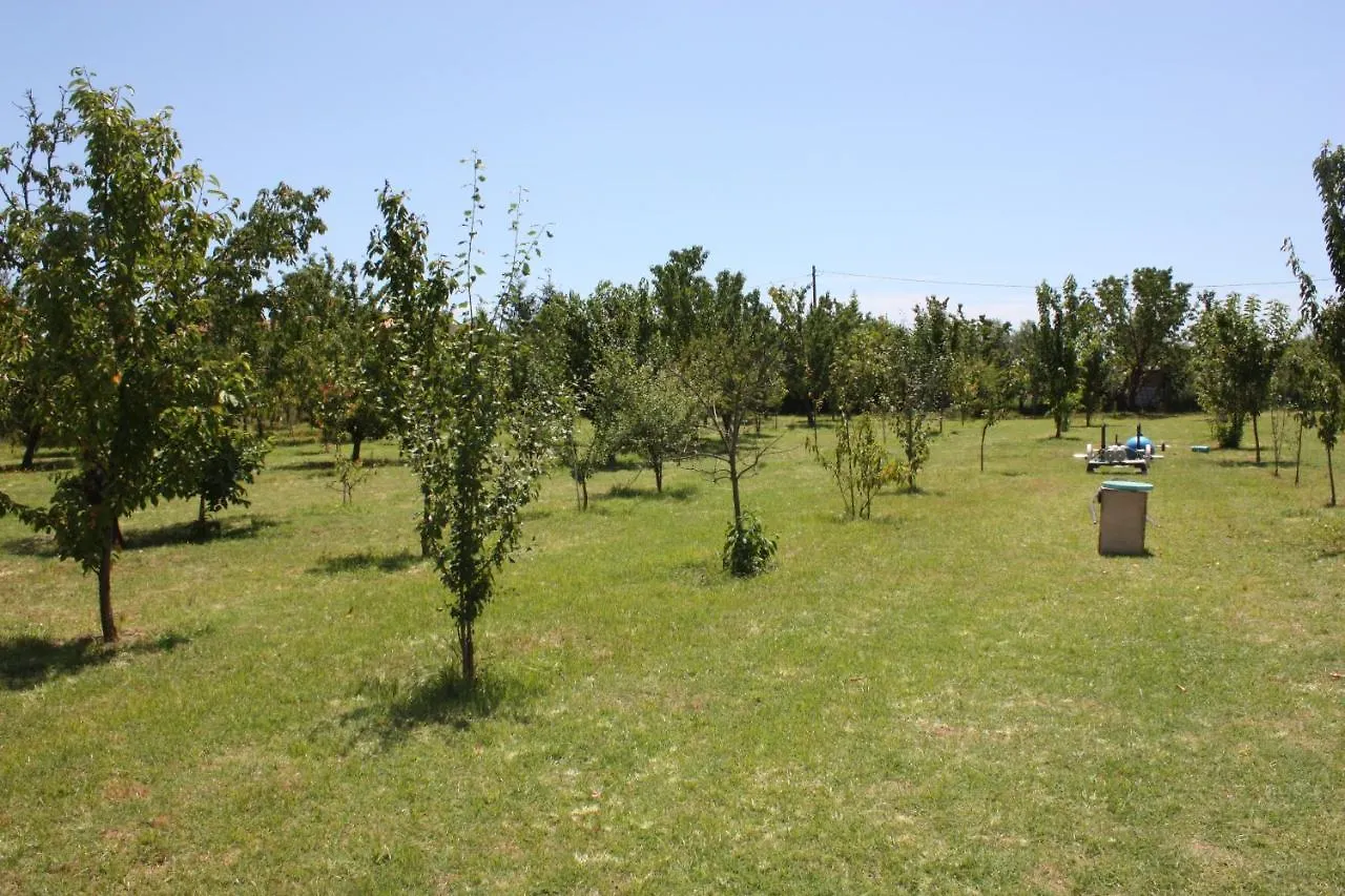 Semesterbostad Tuscan Dream Casa Vacanze Pieve a Nievole