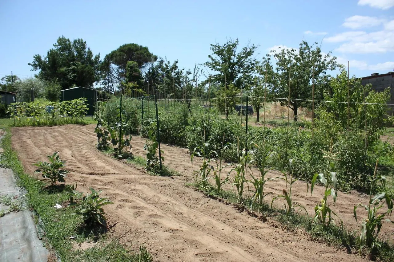 Tuscan Dream Casa Vacanze Pieve a Nievole 0*,  Italien