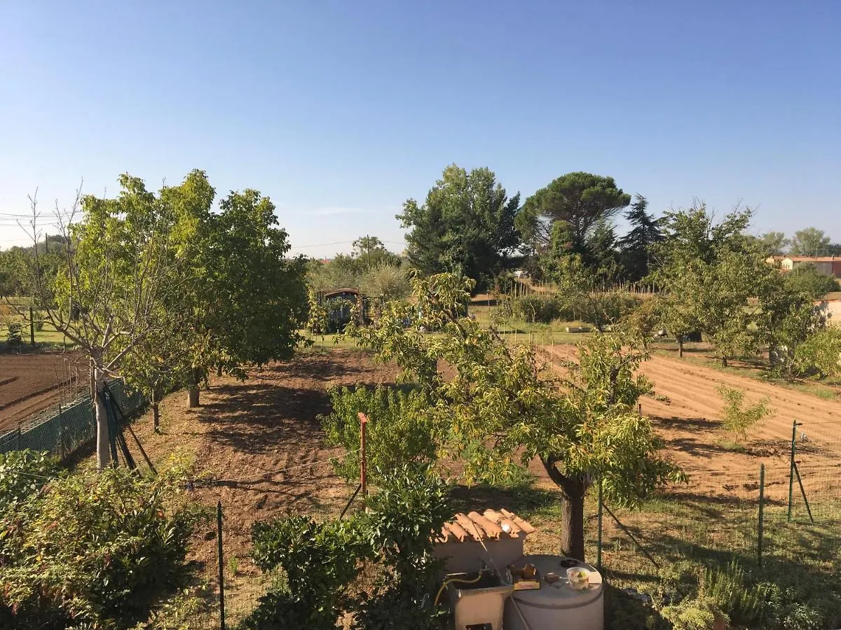 Semesterbostad Tuscan Dream Casa Vacanze Pieve a Nievole Italien